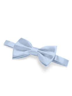 Cicinia Men's Satin Bow Tie